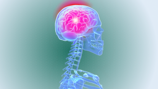 Prestolnica Zdravja Bled Um